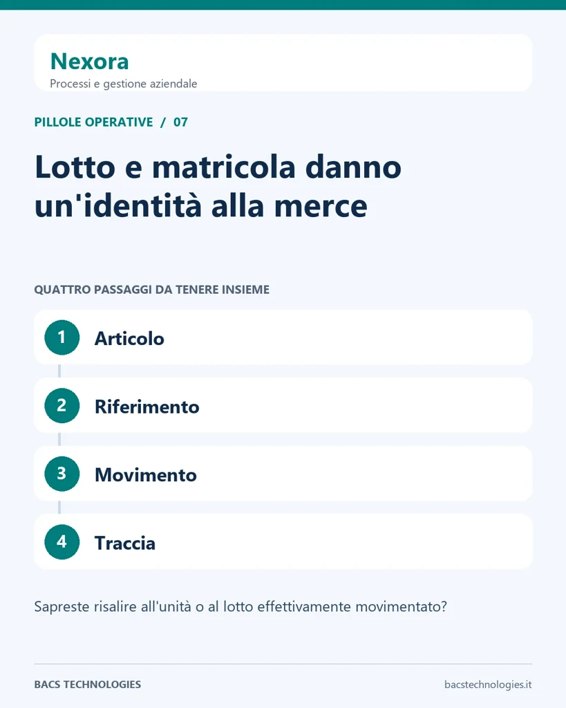 Nexora: Lotto e matricola danno un'identità alla merce. Percorso: Articolo, Riferimento, Movimento, Traccia.