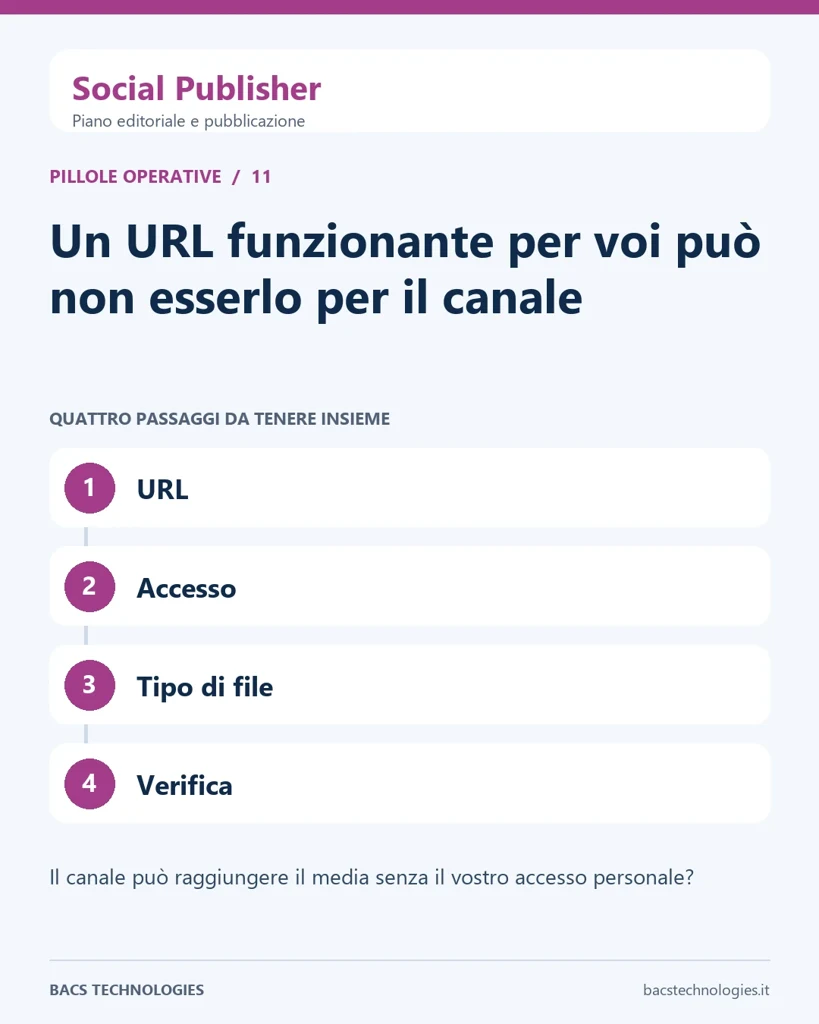 Social Publisher: Un URL funzionante per voi può non esserlo per il canale. Percorso: URL, Accesso, Tipo di file, Verifica.